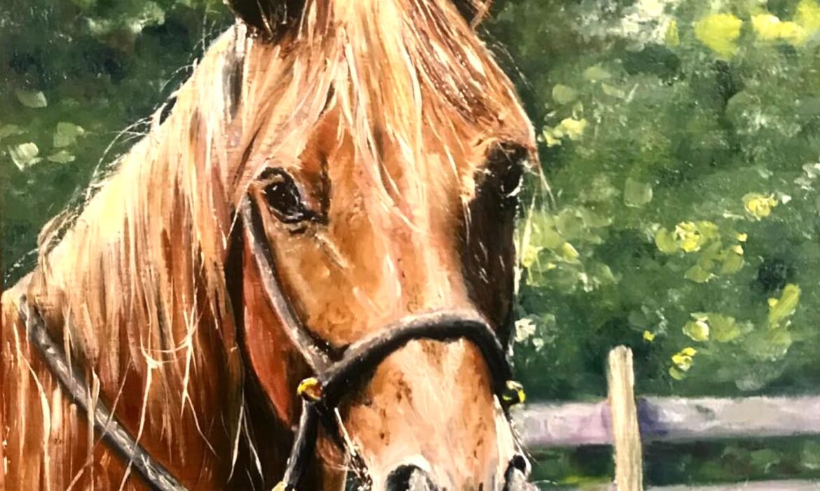 Commissioned